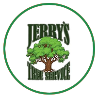 Raines Lawn Care